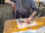 FVM_Felchenfischen_0425_11